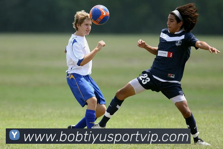 BOB体育APP 封面图